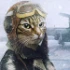 Spieler-Avatar